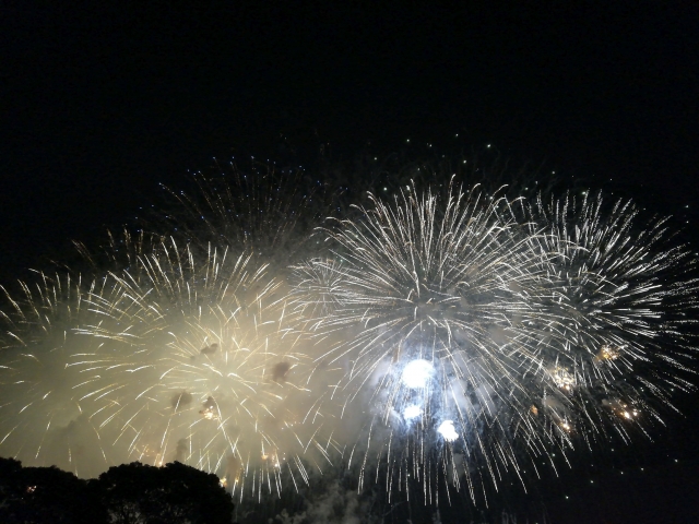 江戸川花火大会は大洲防災公園から見える 場所取りや混雑と屋台情報 30代のガールズトーク